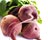 Beetroot